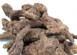 生地提取物10 1價格 生地提取物10 1型號規格