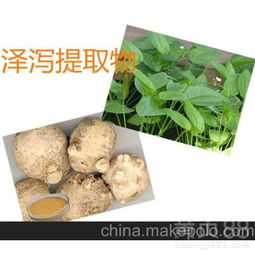 【供應澤瀉提取物植物提取物功效】- 
