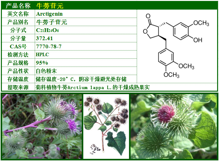 牛蒡子苷元95% 牛蒡子甙 牛蒡苷元_西安__植物提取物.