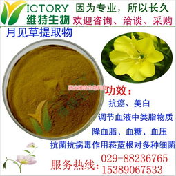 月見草提取物限時促銷，西安維特生物科技為您帶來純正植物精華